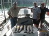 (07/26/2015) - Nice Striped Bass